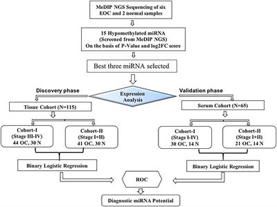 Evaluation of Diagnostic Potential of Epigenetically Deregulated MiRNAs in Epithelial Ovarian Cancer